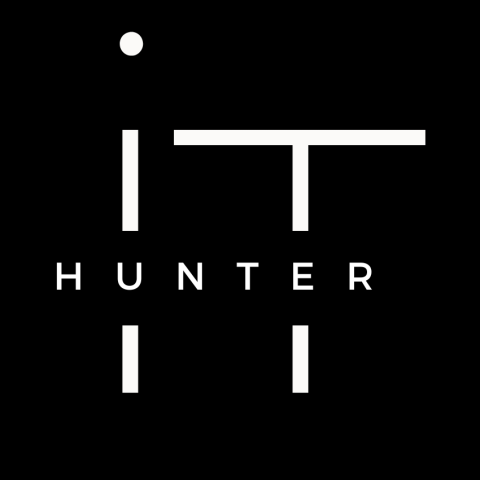 IT Hunter SEO Essex