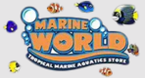 Marine World Aquatics